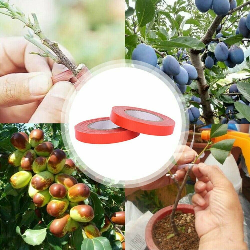 تیپ لێدەری باخچە