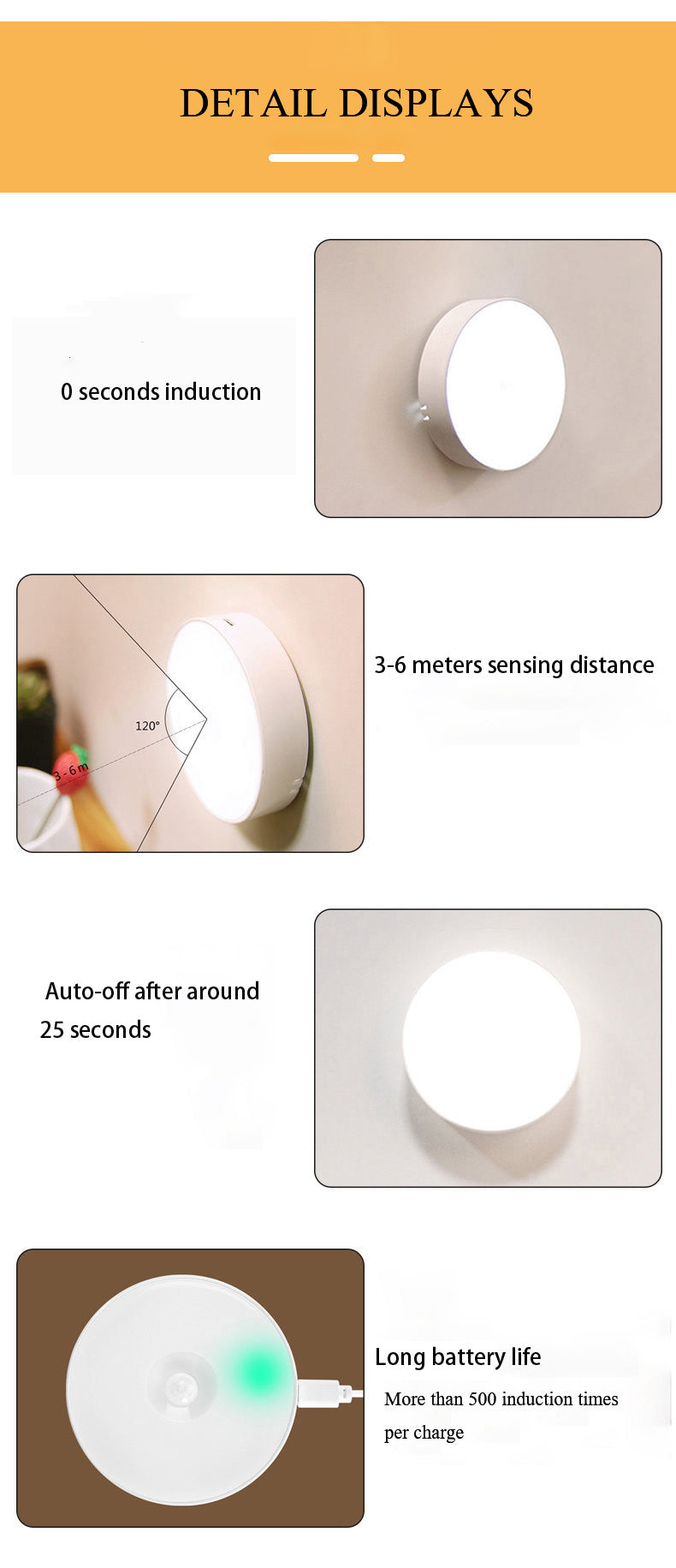 Motion Sensor Light (Auction)