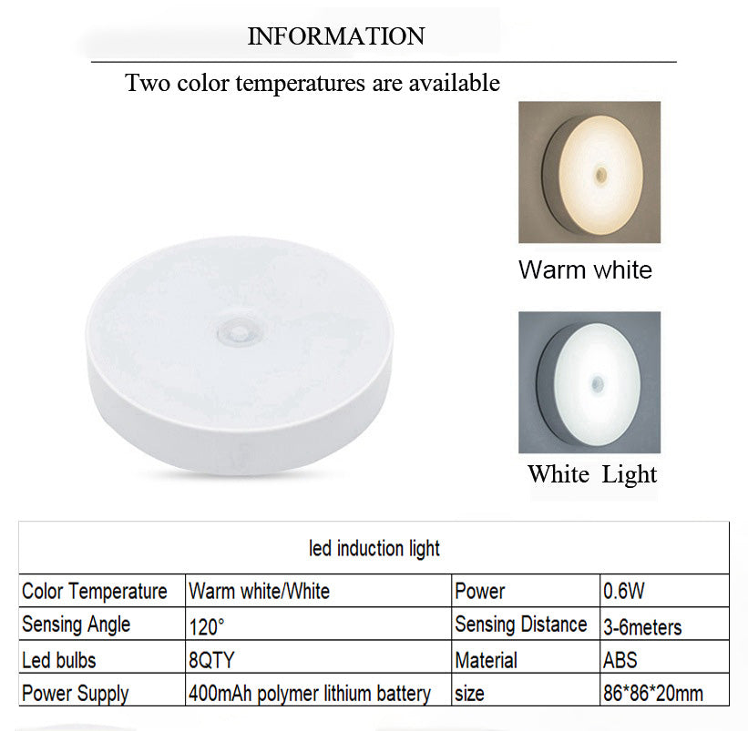 Motion Sensor Light (Auction)