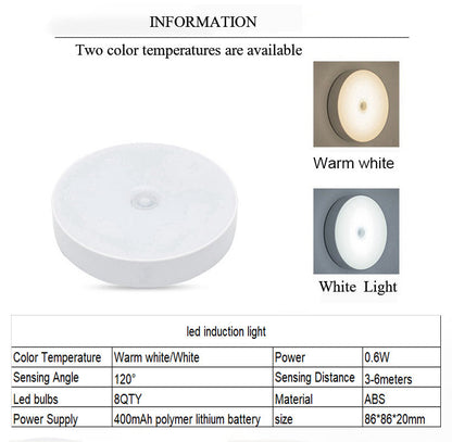 Motion Sensor Light (Auction)