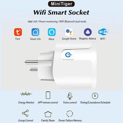 Wi-Fi Smart Plug (20A)