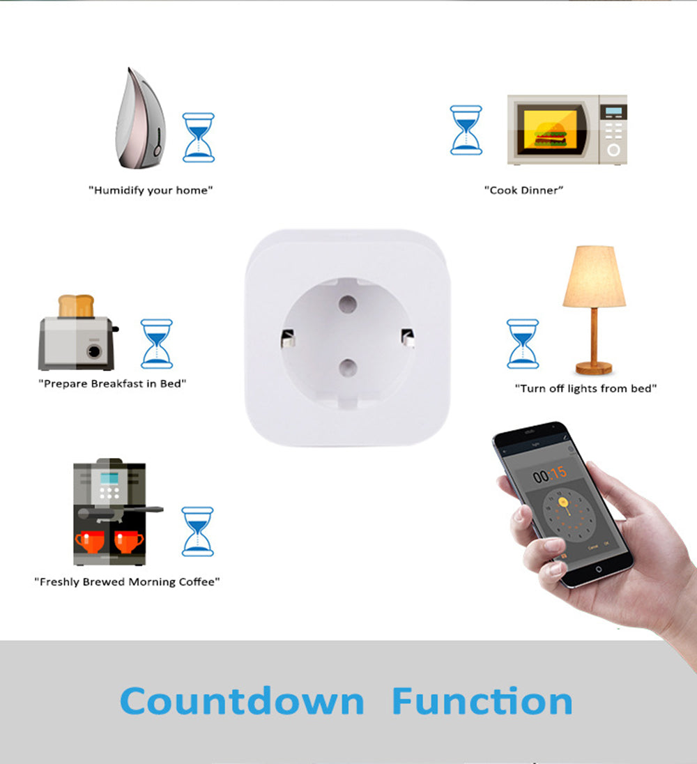 Wi-Fi Smart Plug (20A)